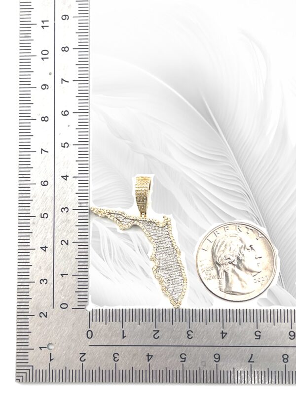 10K Yellow Gold Diamond Florida Map Pendant 0.43Ctw RD - Image 3